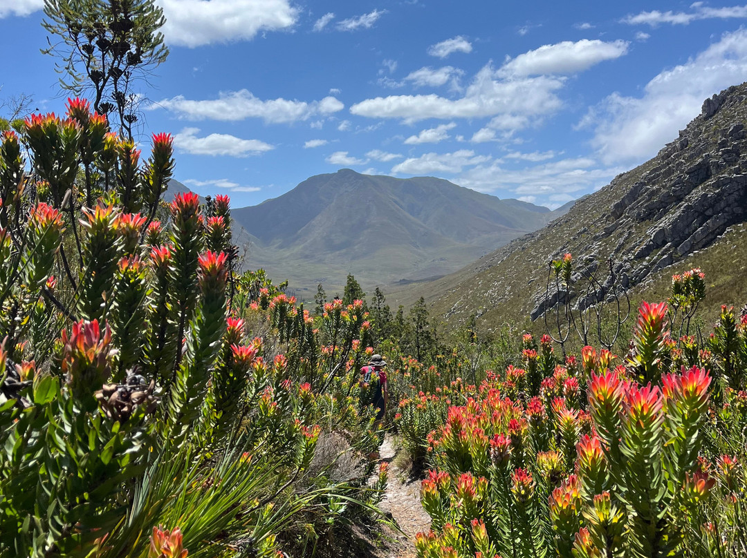 Blue Mountain Trail-Botrivier必去景点