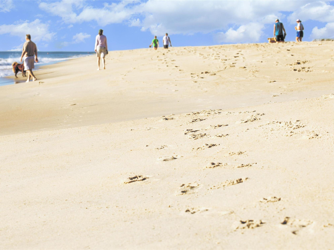 Dewey Beach酒店住宿-Hyatt Place Dewey Beach