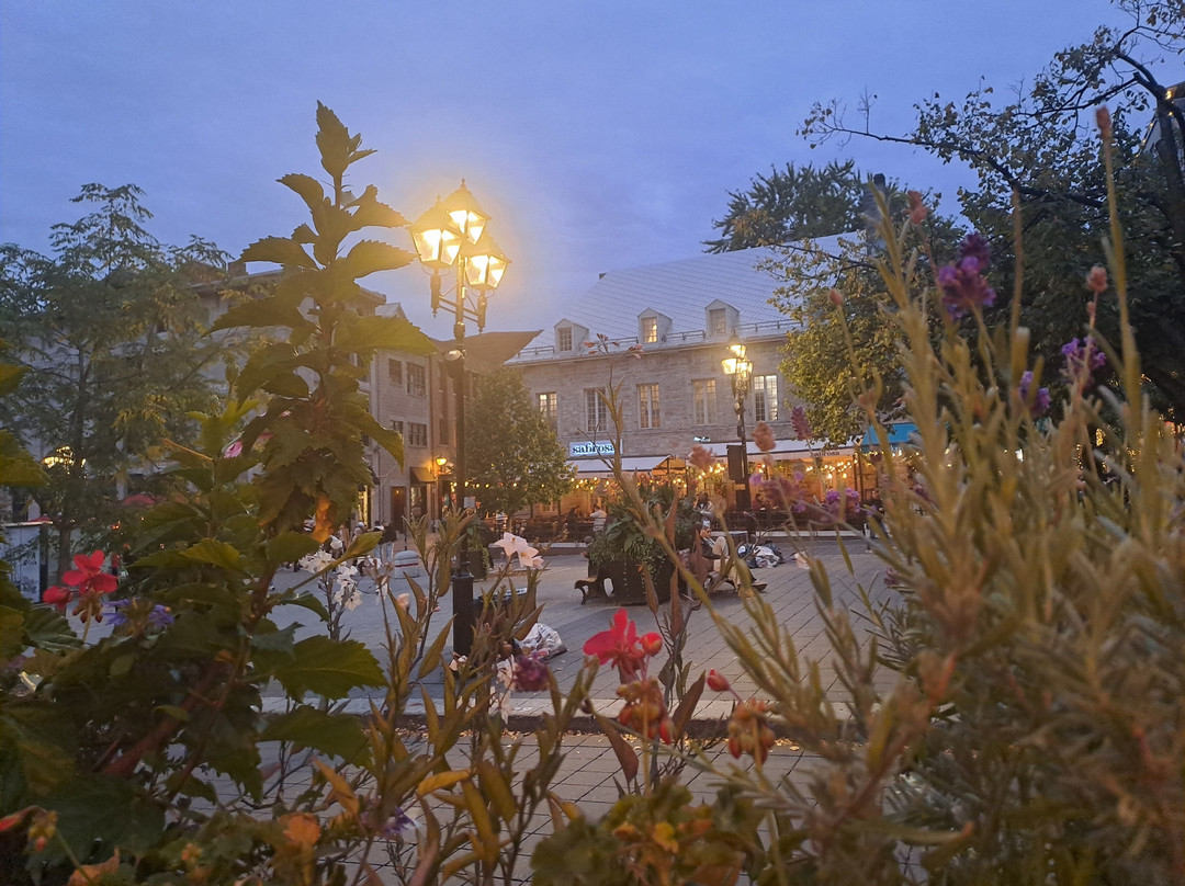 Place Jacques-Cartier-蒙特利尔必去景点