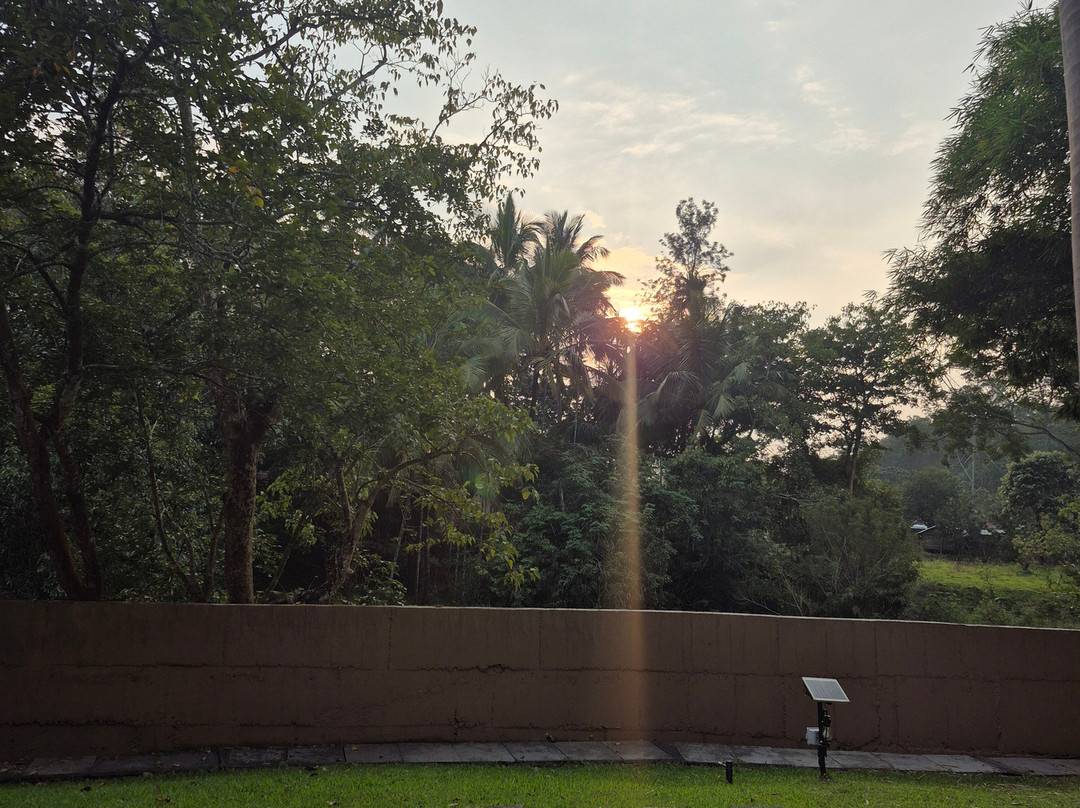 Regenta Jungle Resort Kabini Springs主图