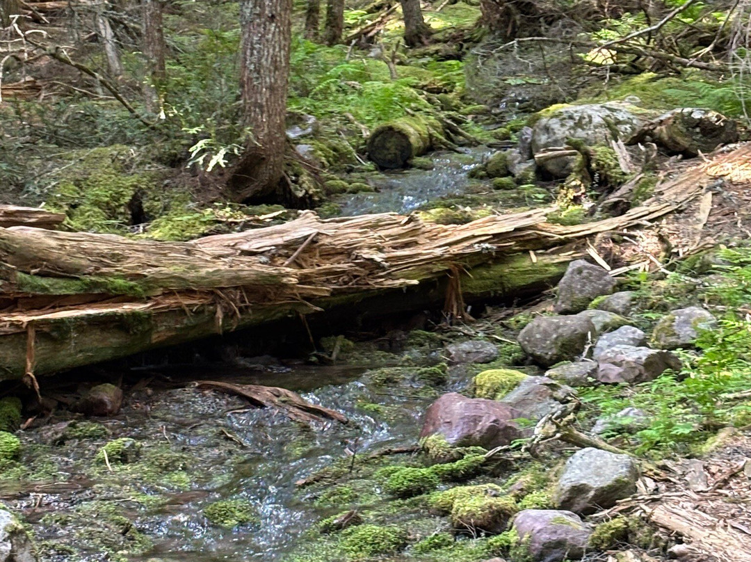 Glacier National Park-西格拉西尔必去景点