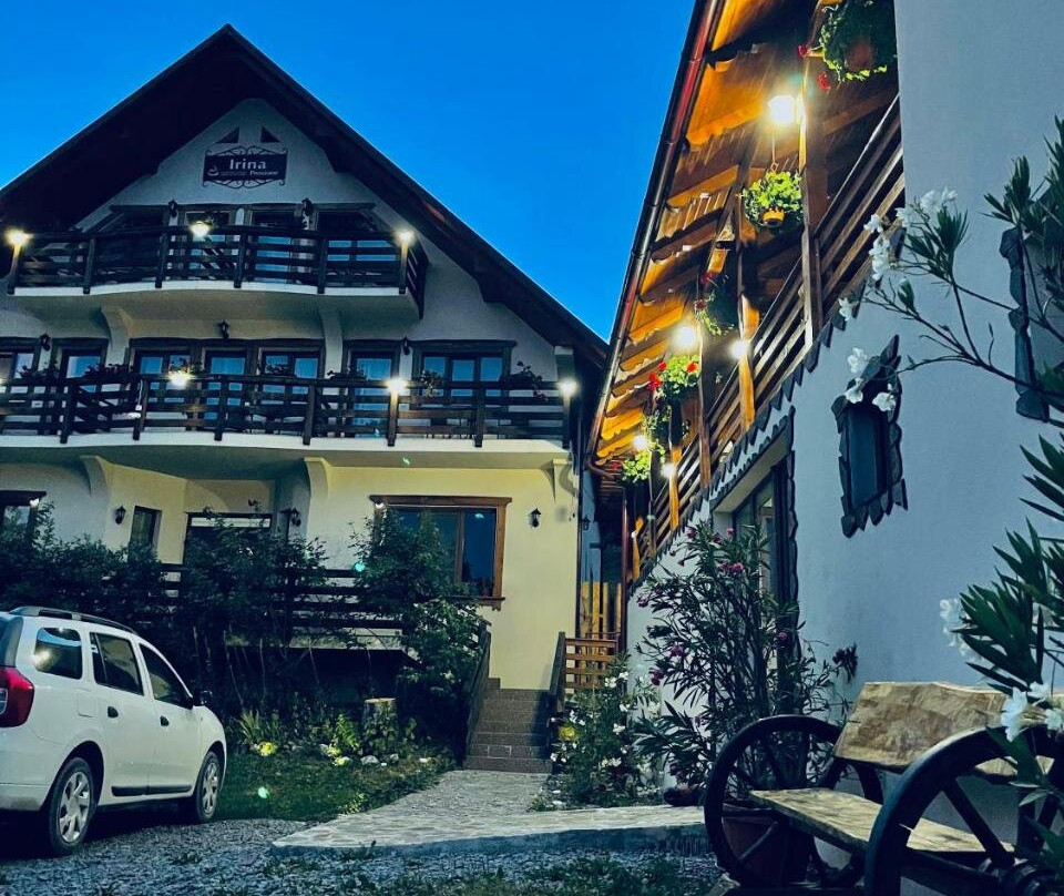 Mara酒店住宿-Pensiunea Irina Desesti