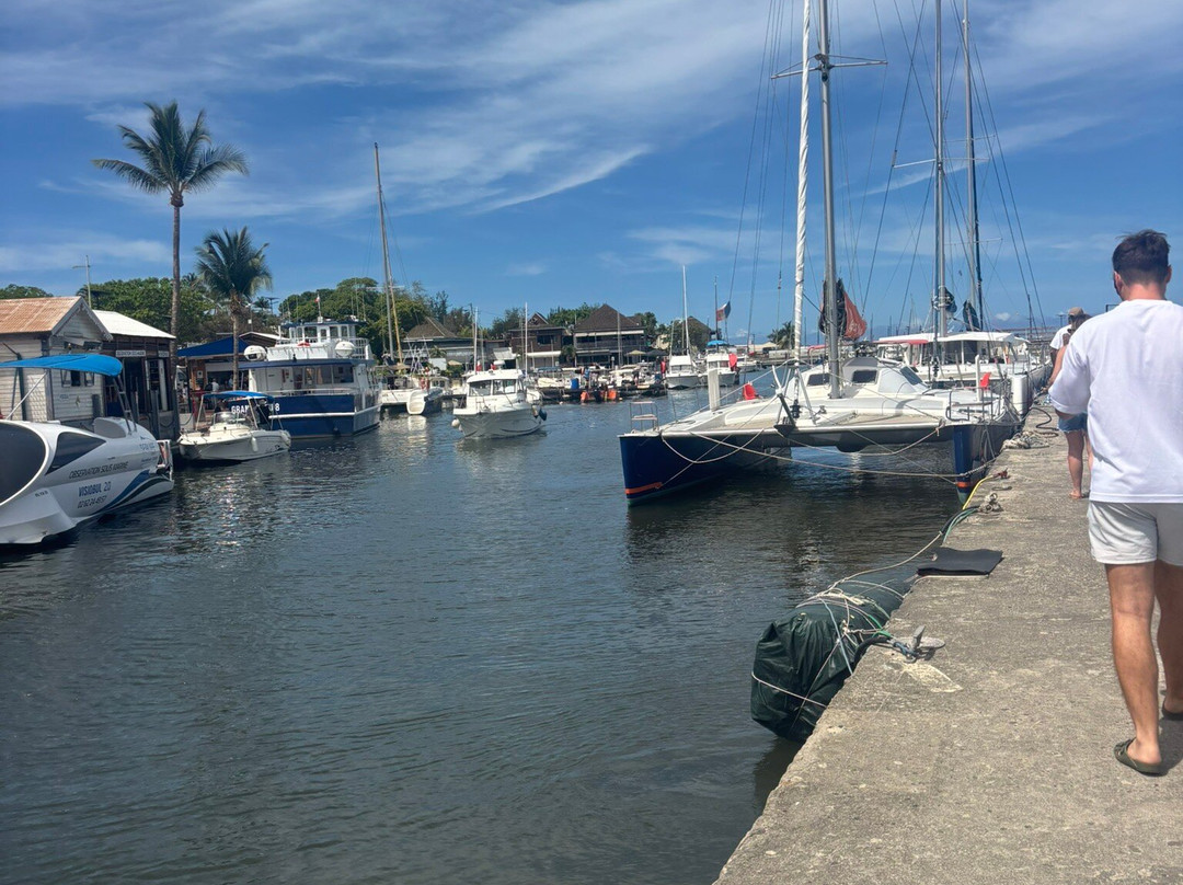 Croisieres & Decouvertes - Le Grand Bleu-圣吉尔莱班必去景点