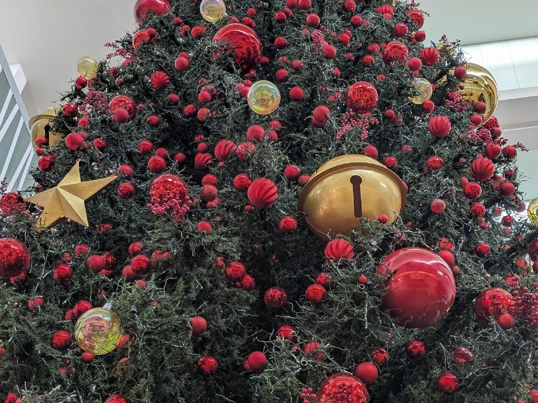 Multiplaza-巴拿马城必去景点