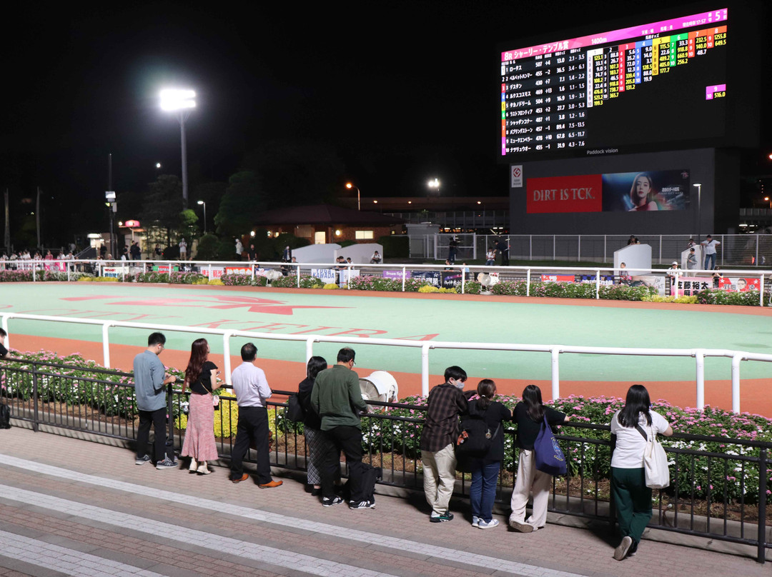 Oi Racecourse-品川区必去景点