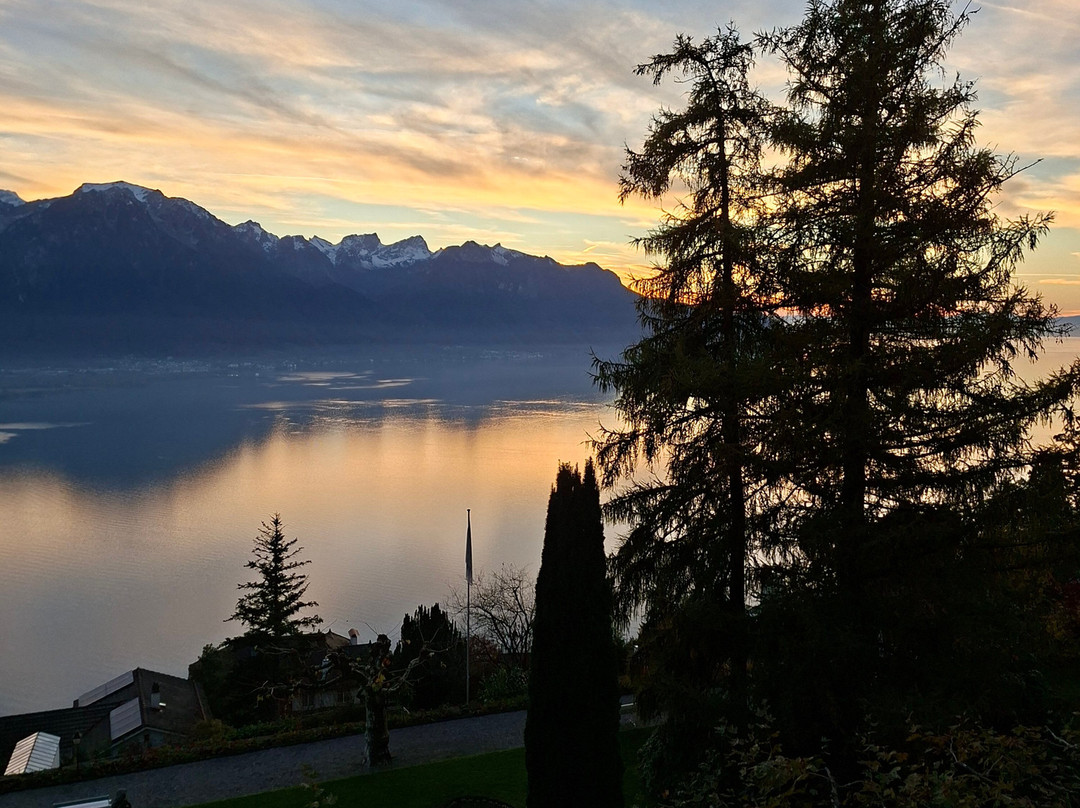 维多利亚酒店主图