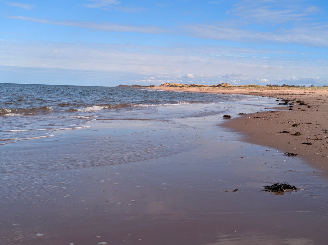 Brackley Beach-Brackley Beach必去景点