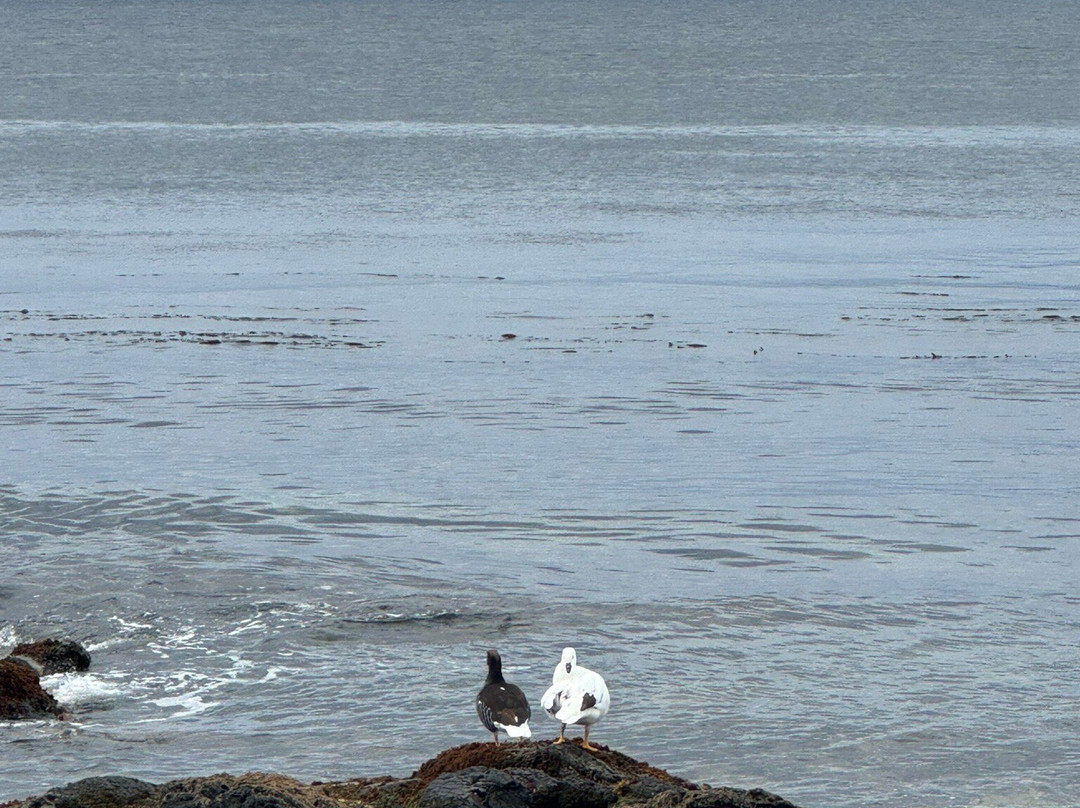 Parque del Estrecho de Magallanes-蓬塔阿雷纳斯必去景点