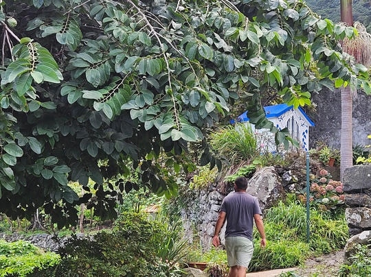 MadeiraEcoHolidays-马德拉群岛必去景点