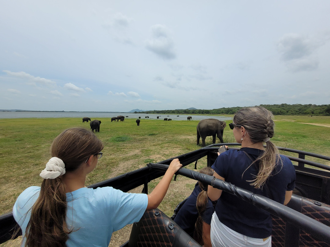 Ceylon Charming Travels-卡尔皮蒂耶必去景点