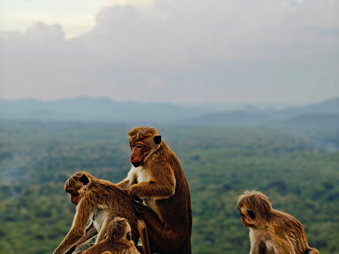 Sanju Tours-Minuwangoda必去景点
