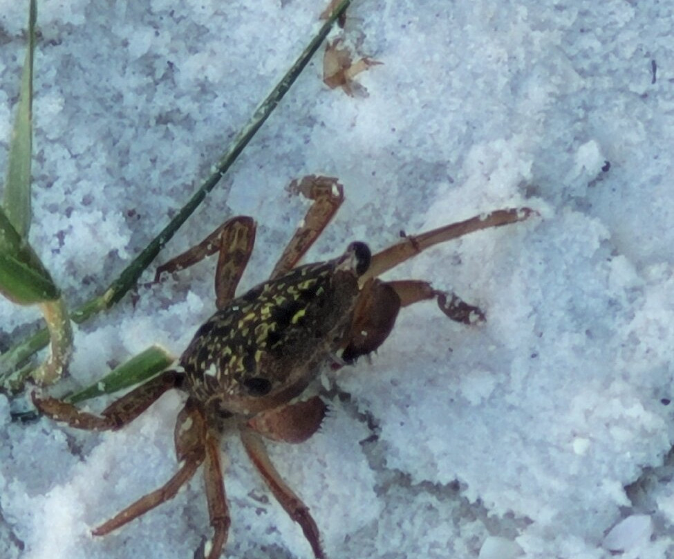 Quick Point Nature Reserve-长船礁必去景点