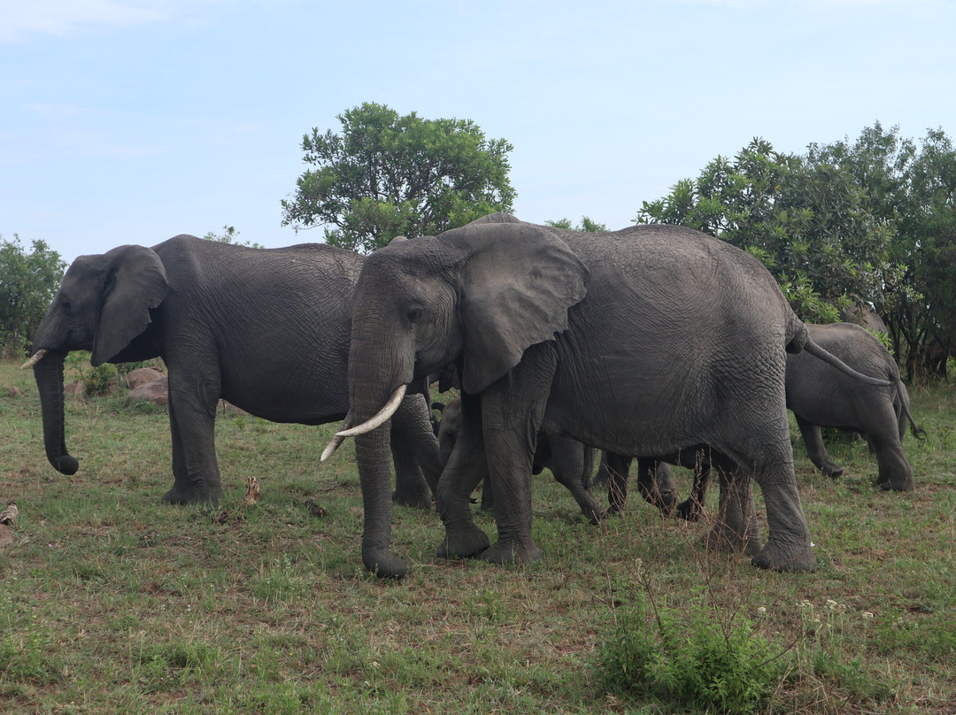 RA Safaris-阿鲁沙必去景点