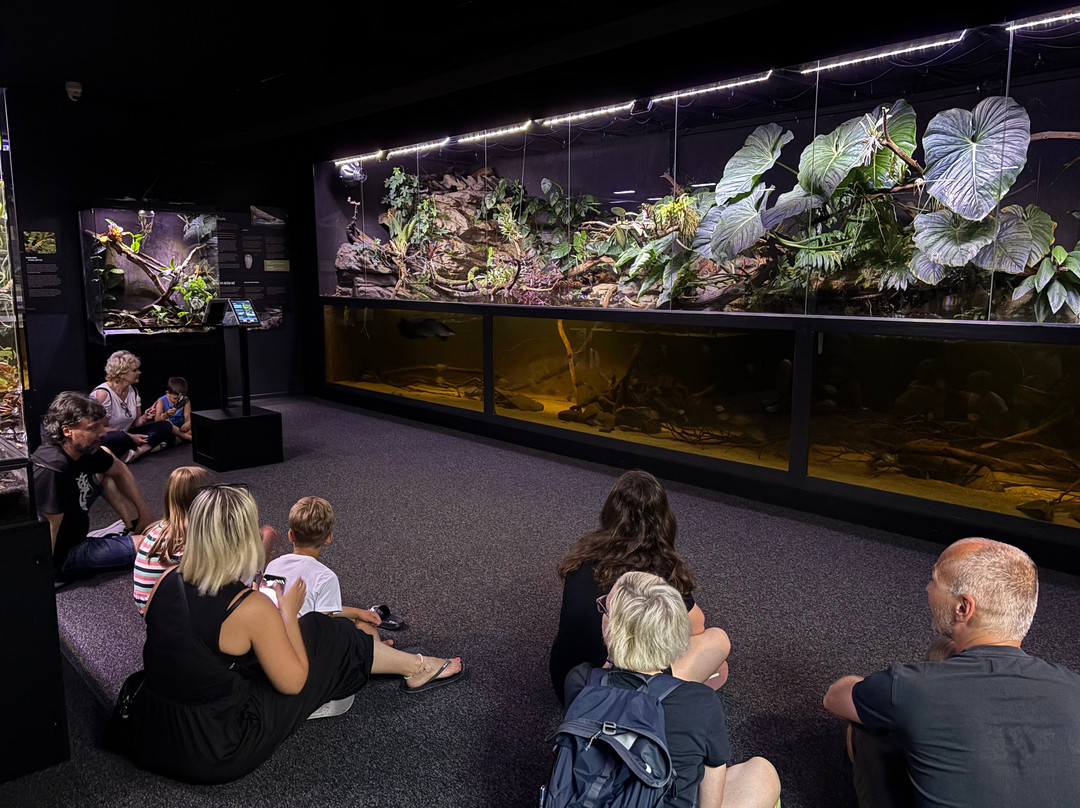 Neotropica, Postojna, Slovenia