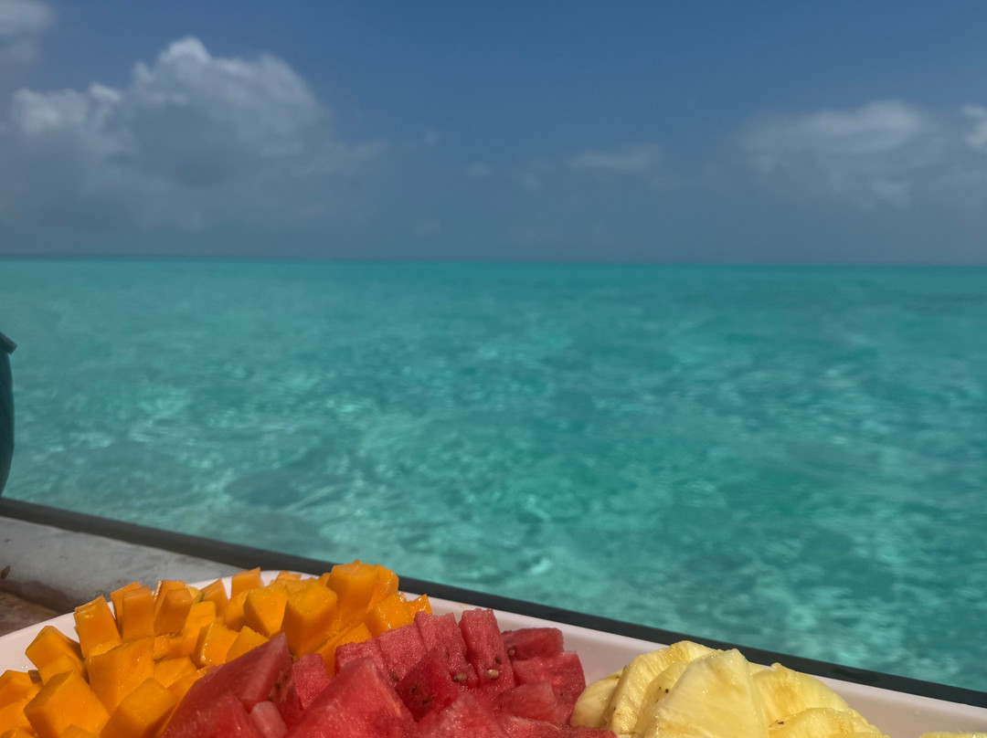 AG Tours and Safaris-桑给巴尔岛必去景点