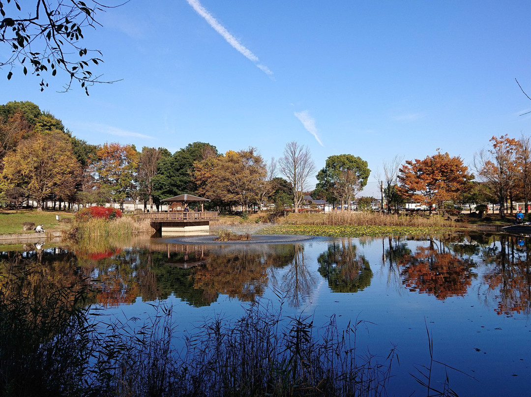 Shiroyama Park-桶川市必去景点