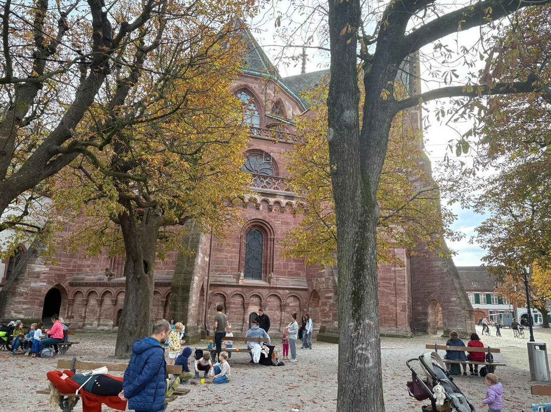 Pfalz-巴塞尔必去景点