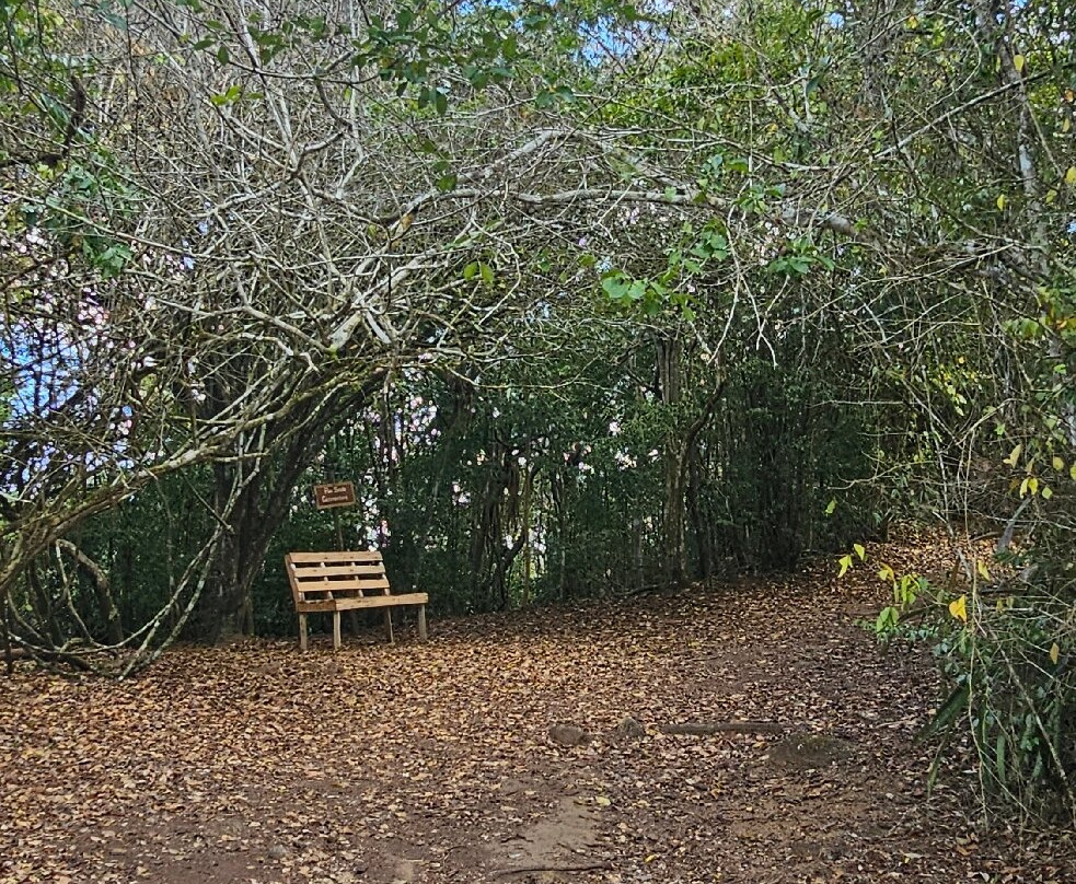 Parque Ecologico Da Serra Negra-Bezerros必去景点