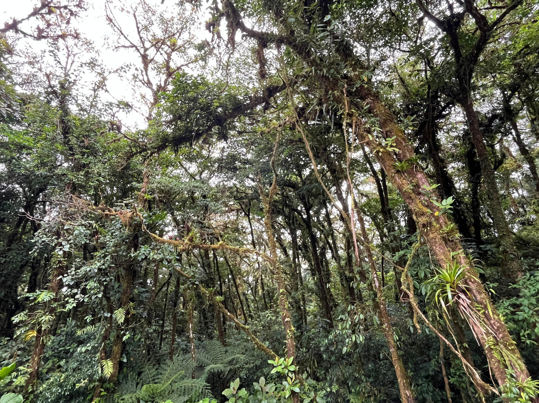 Grasshopper Tours-圣特雷莎必去景点