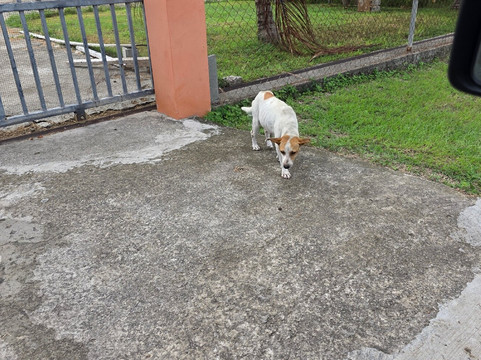 Jah-T Car Rental-圣 约翰必去景点