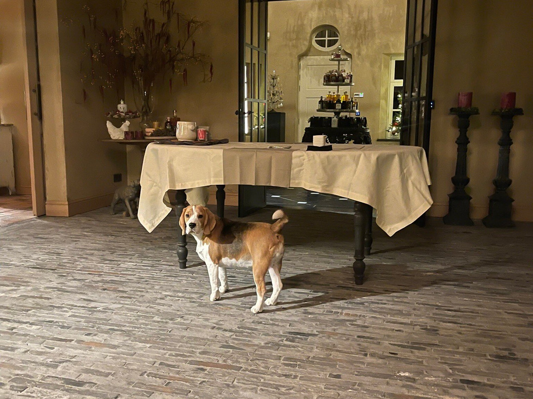 B&B De Brakelhoen主图