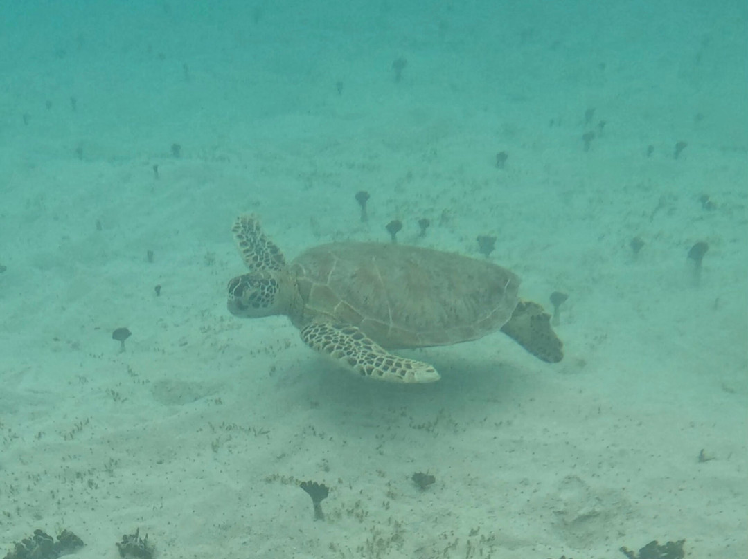 Guam Private Boat Trips-Merizo必去景点