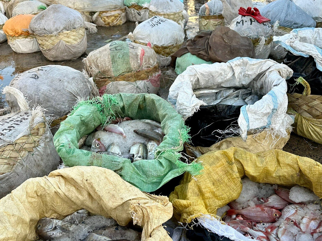 Nouvelles Frontieres-达喀尔必去景点