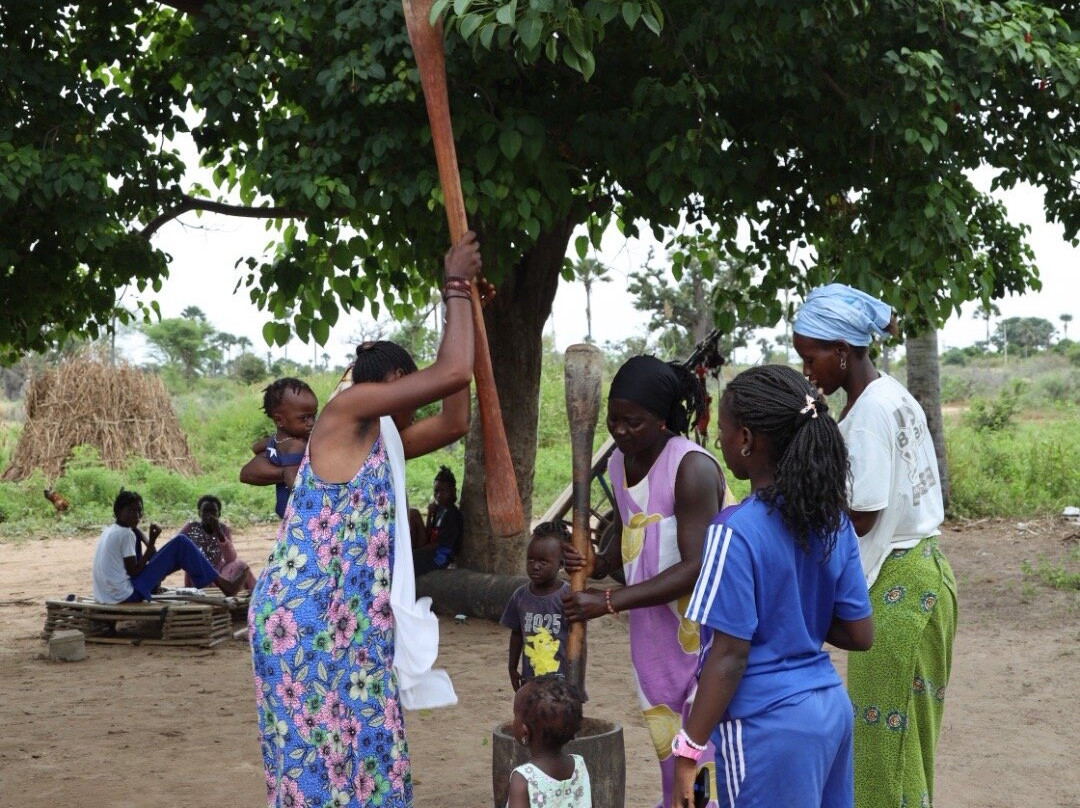 Nouvelles Frontieres-达喀尔必去景点