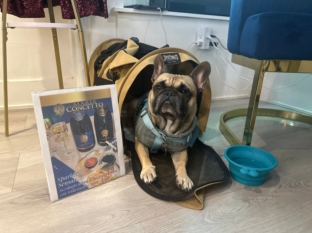 Maria Concetto Winery-卡利斯托加必去景点