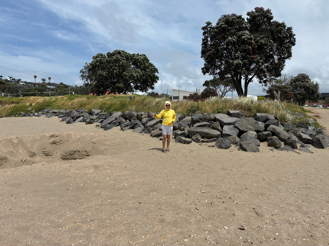 Browns Bay Beach-布朗斯湾必去景点