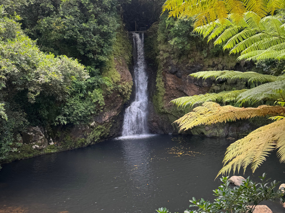 Vallé Advenature Park-Chamouny必去景点