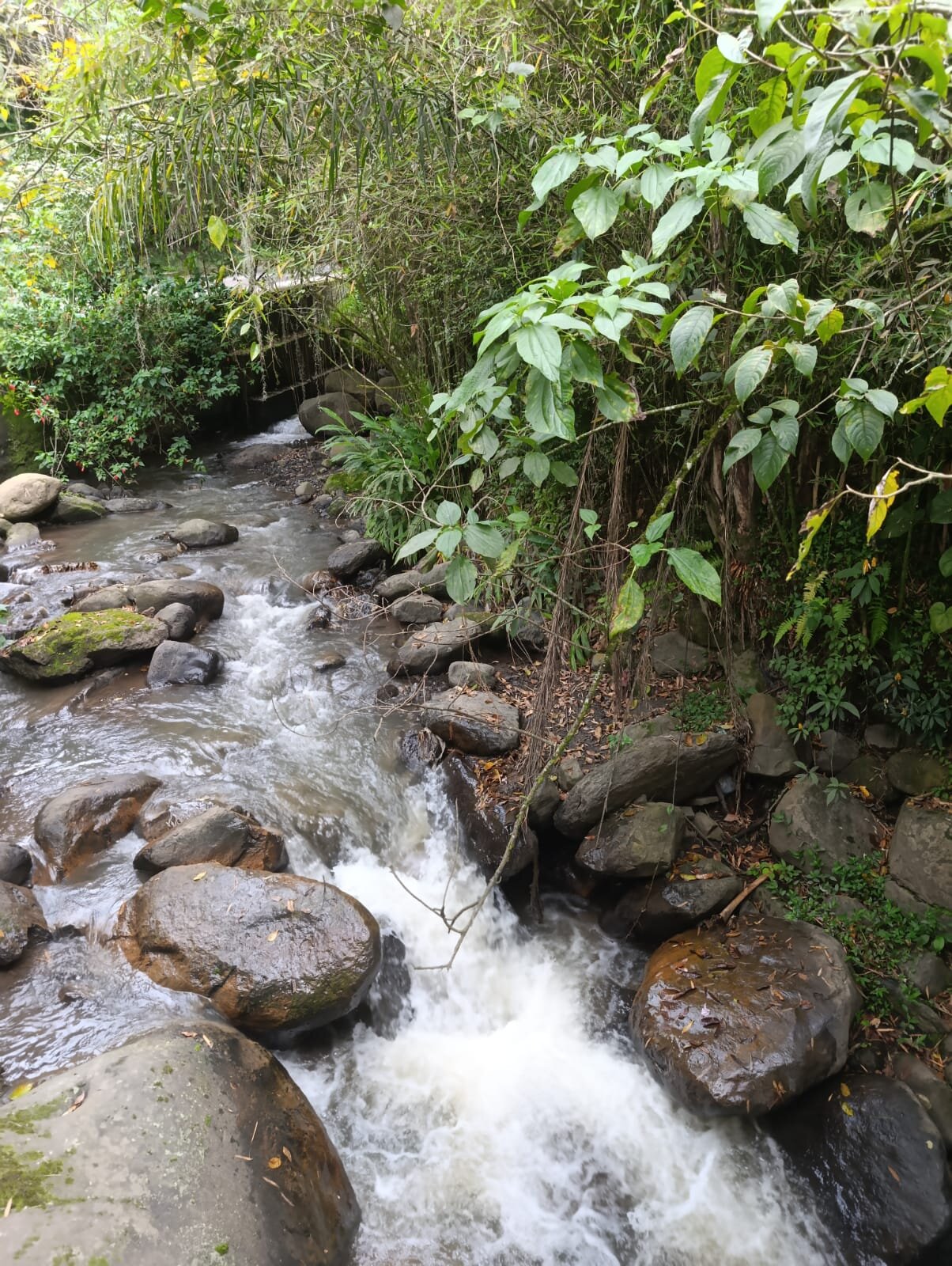 Hotel California Pacho-家庭/游戏区