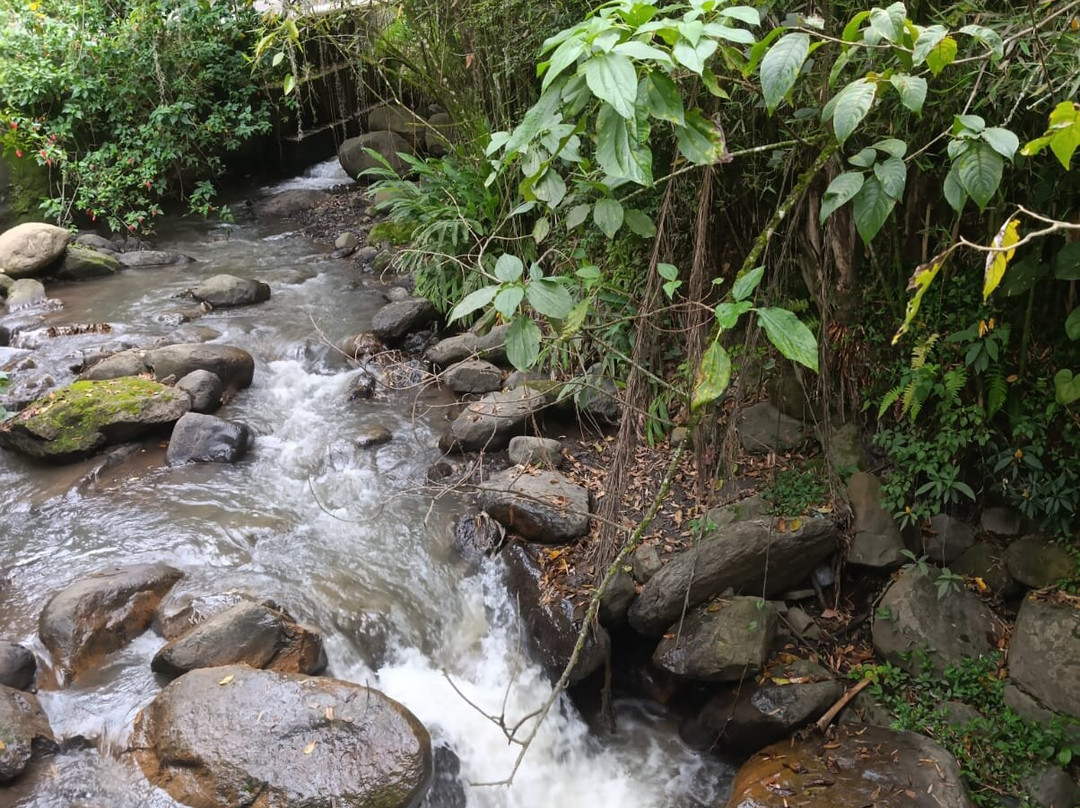 Hotel California Pacho主图