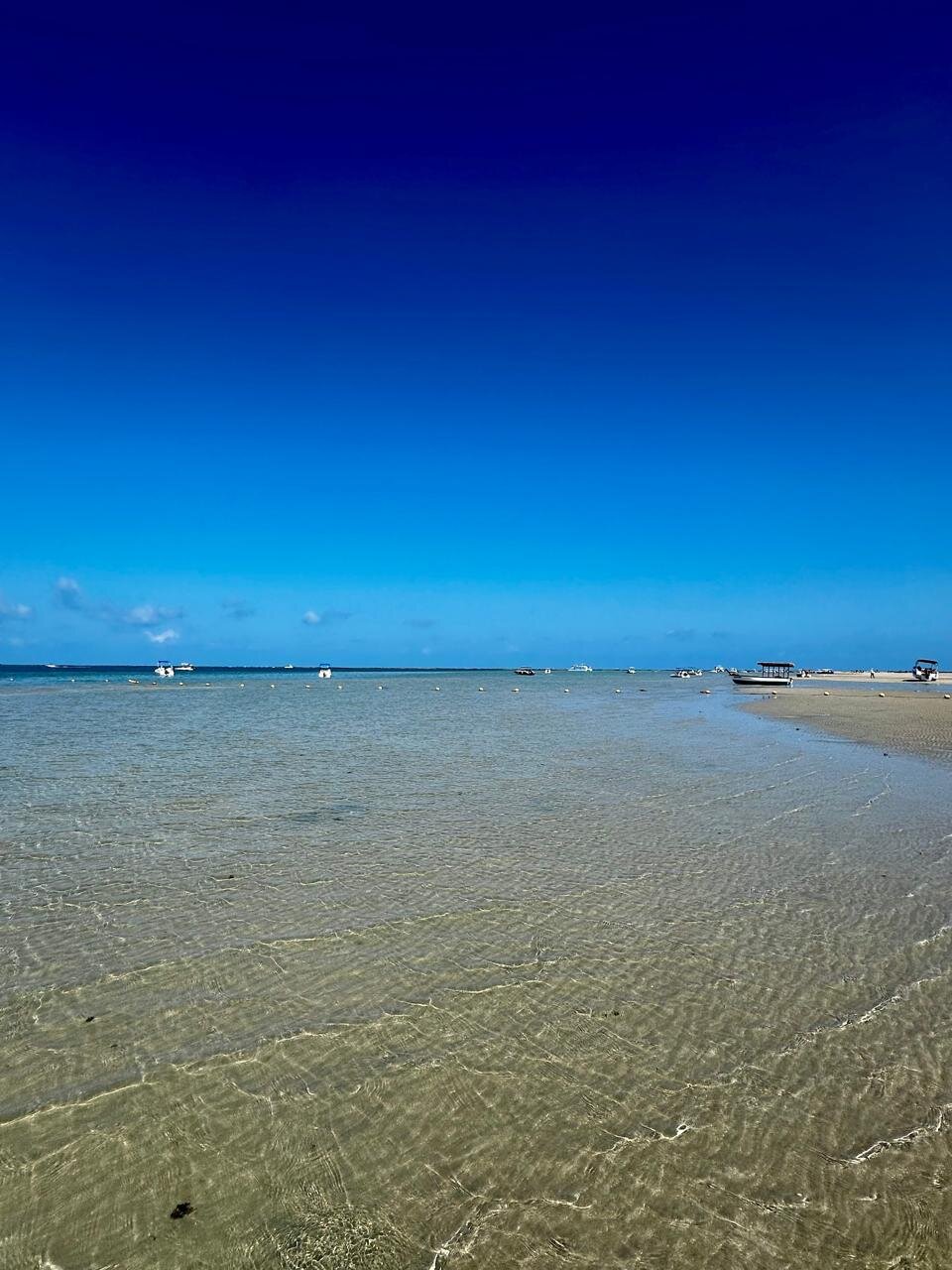 Pousada Praia dos Carneiros-泳池