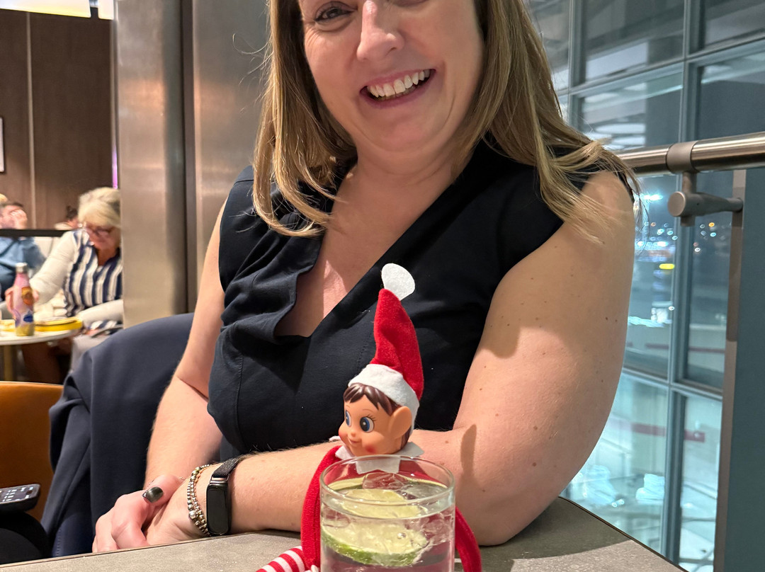 Plaza Premium Lounge Heathrow T5 Departures-伦敦必去景点