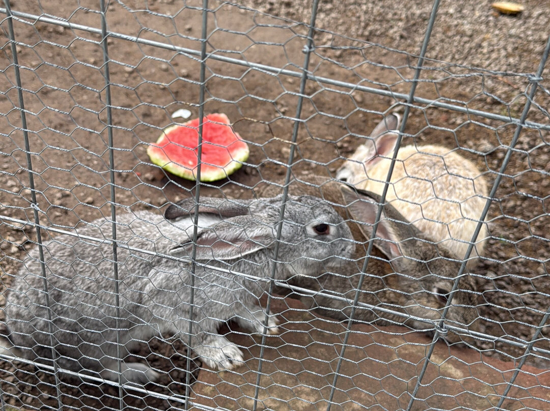 Sítio das Abelhas-Taquara必去景点