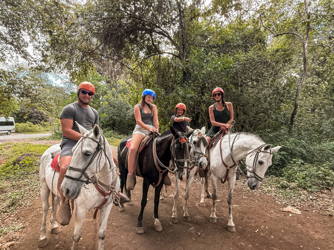 Dees Costa Rica Tours-Playa Flamingo必去景点