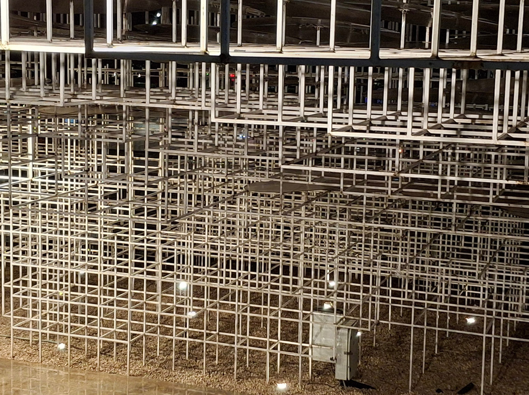 Reja "The Cloud"-地拉那必去景点