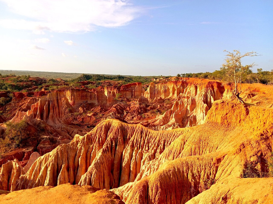 Giornale Kenya Safari - Day Tours-瓦塔木必去景点