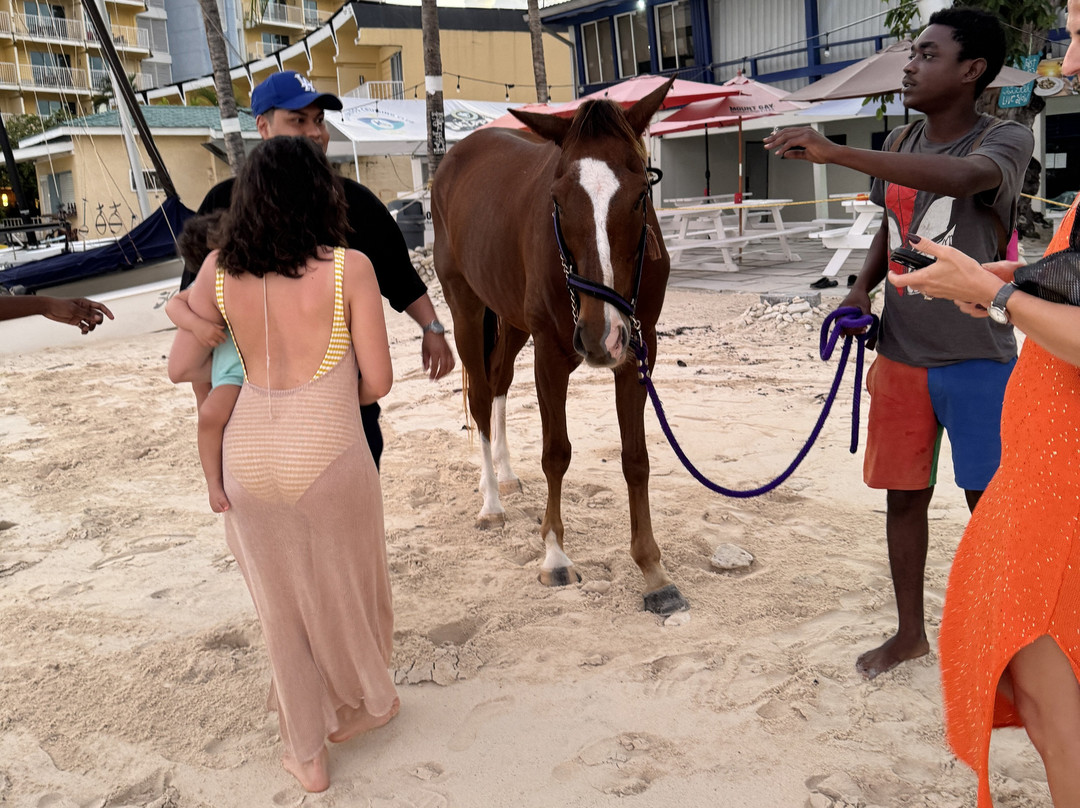 Pebbles Beach-布里奇顿必去景点