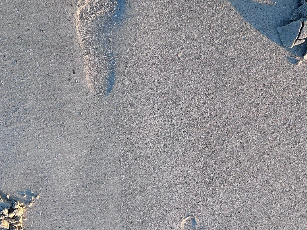 Beachside Motel主图