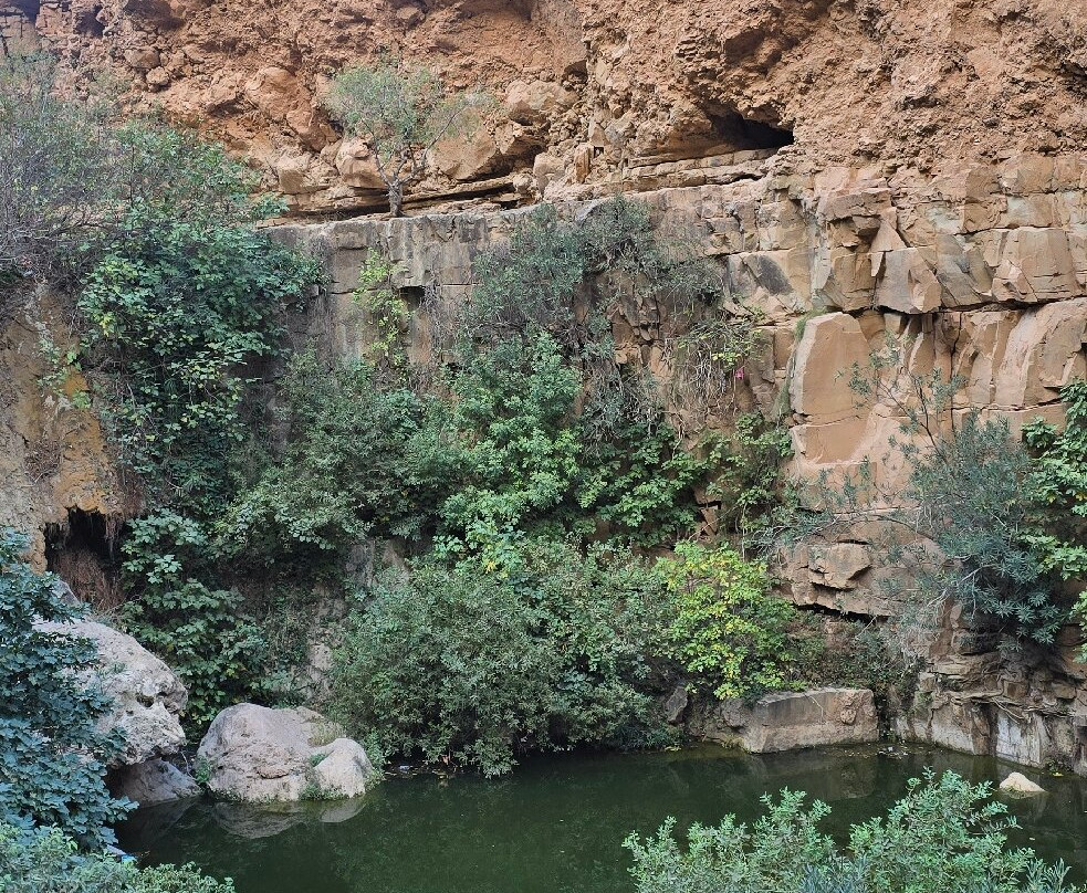 El-Ourit Waterfalls-Tlemcen必去景点