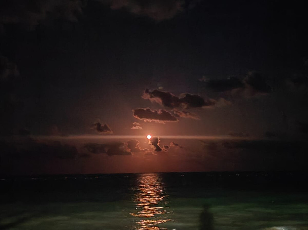 Playa de Puerto Morelos-从莫雷洛斯港必去景点