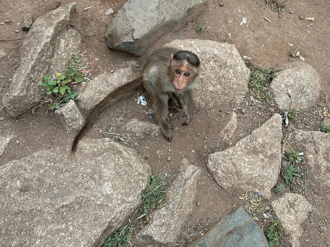 Shivagange Betta Trek Point-Nelamangala必去景点