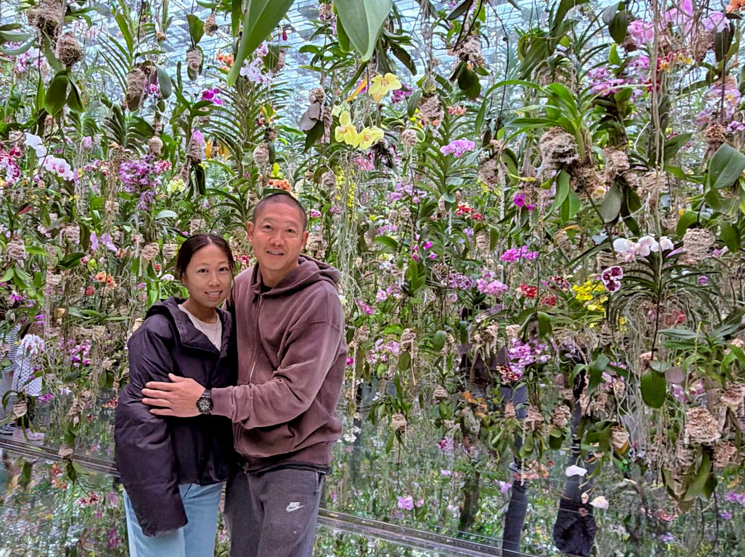 teamLab Planets TOKYO-Toyosu必去景点