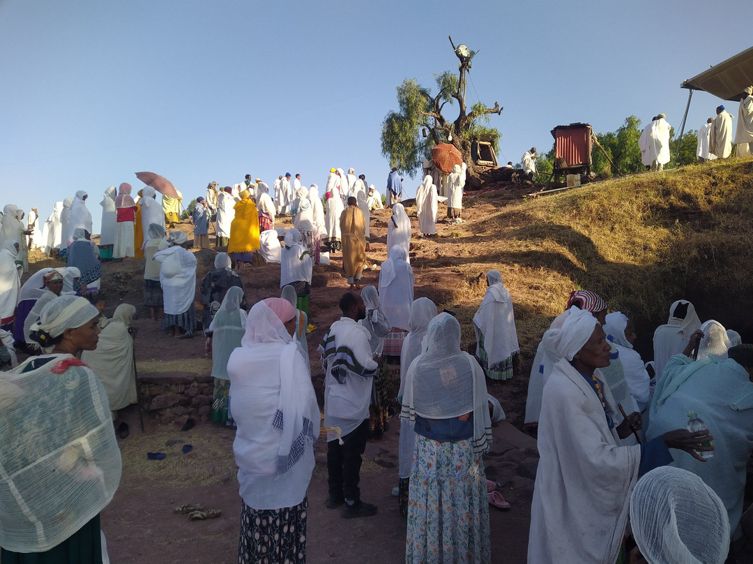 Simien View Tour & Travel-贡德尔必去景点