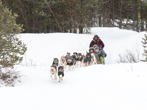 Bohemian Lucky Bastards-Jukkasjarvi必去景点