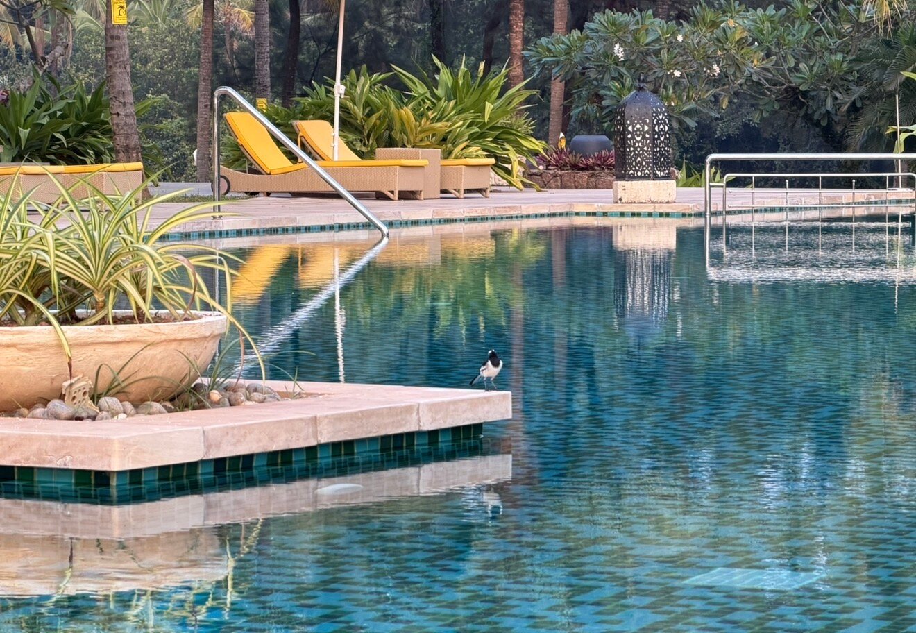 泰贝卡威安塔酒店-泳池