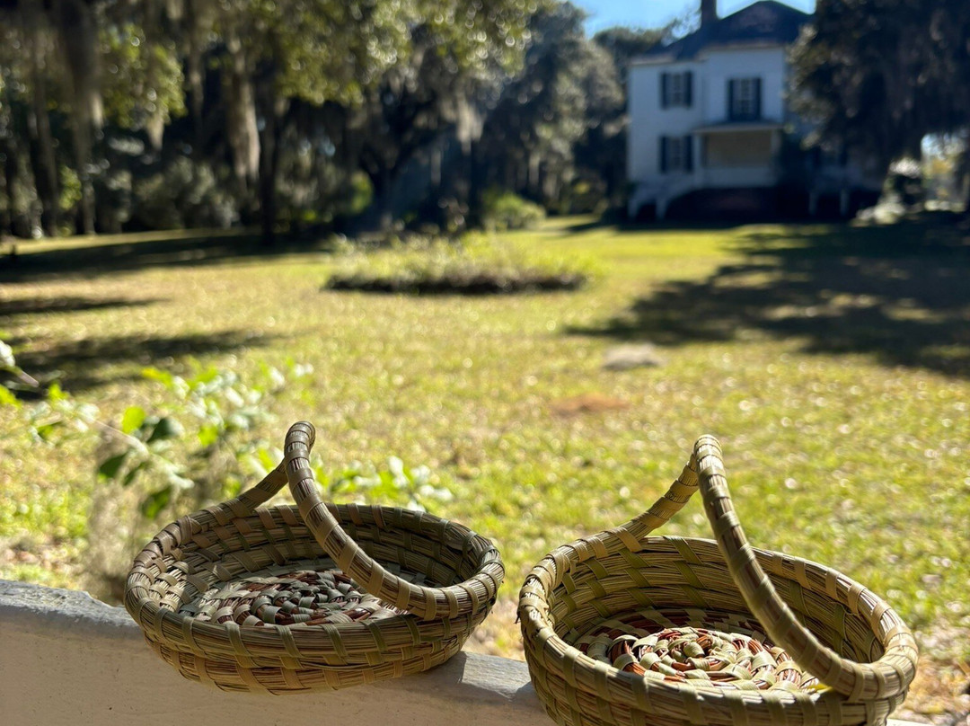 Hopsewee Plantation-乔治敦必去景点