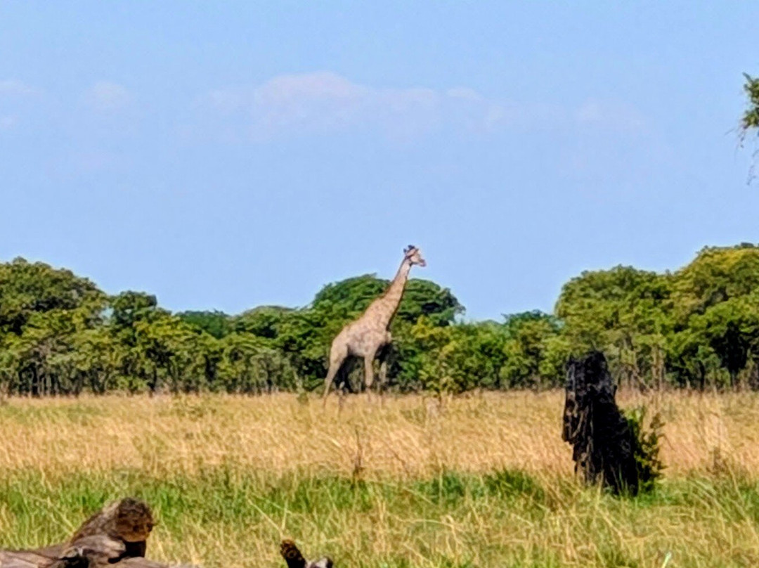 Kuti Wildlife Reserve-沙利马必去景点